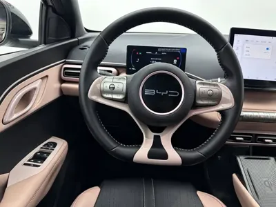 BYD Seagull