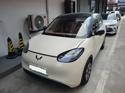 Wuling Bingo