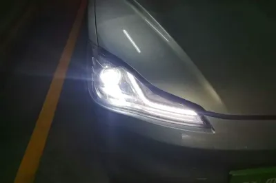 NETA V