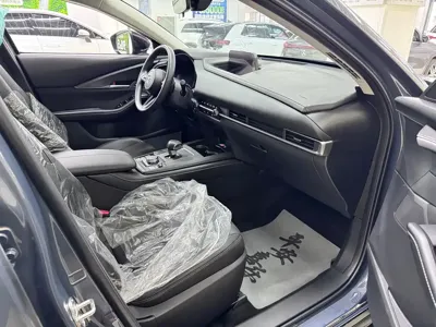 Mazda CX-30 EV