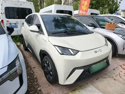 BYD Seagull