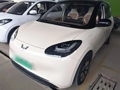 Wuling Bingo