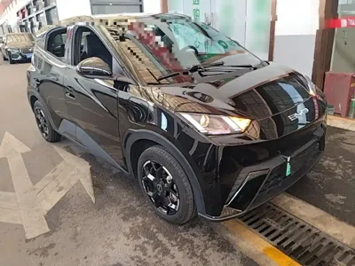 BYD Seagull