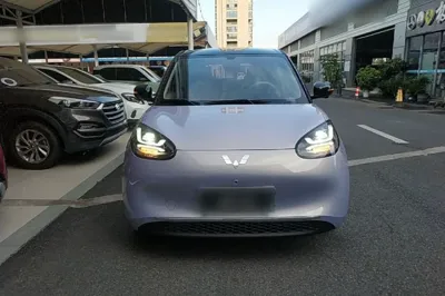 Wuling Bingo