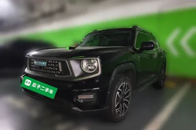 Haval H Dog New Energy