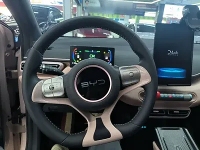 BYD Seagull