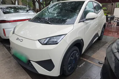BYD Seagull