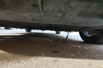 Ford Taurus