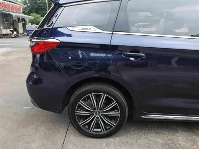 BYD MAX New Energy