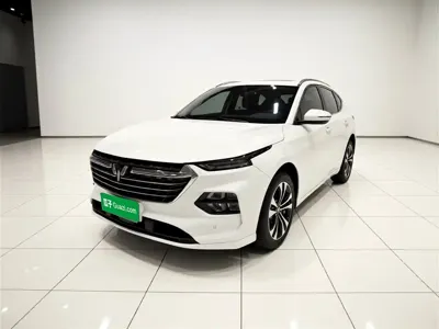 Wuling Victory