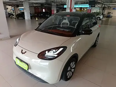 Wuling Bingo