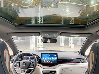 BYD PLUS New Energy