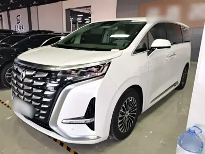 Denza Denza D9