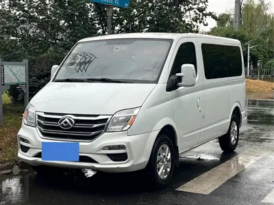 Maxus V80