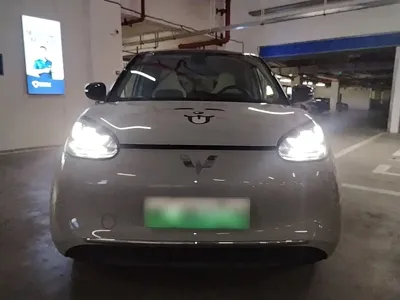 Wuling Bingo