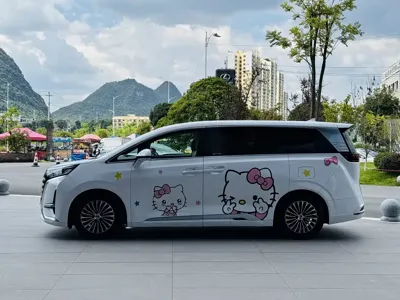 Denza Denza D9