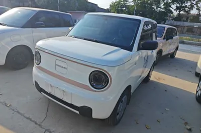 Geely Galaxy Panda