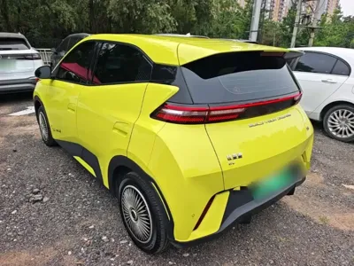 BYD Seagull