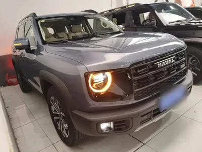 Haval Big Dog