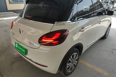 Wuling Bingo