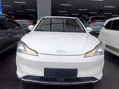 NETA Neta V