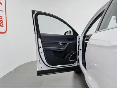 BYD Pro