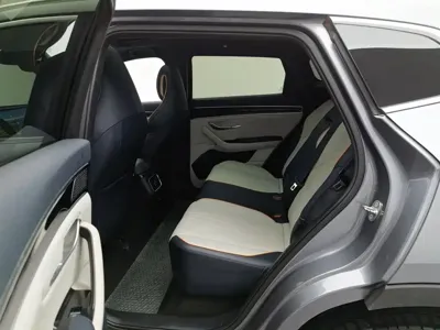 BYD PLUS New Energy