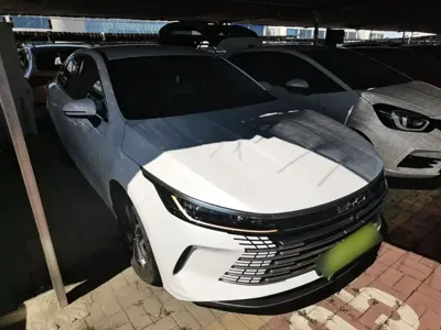 BYD Destroyer 05