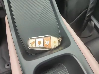 BYD Seagull