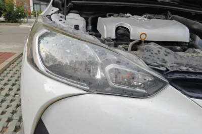 Toyota YARiS L Zhi Xiang