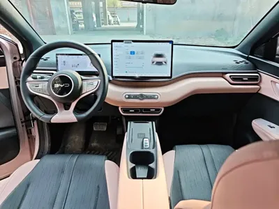 BYD Seagull