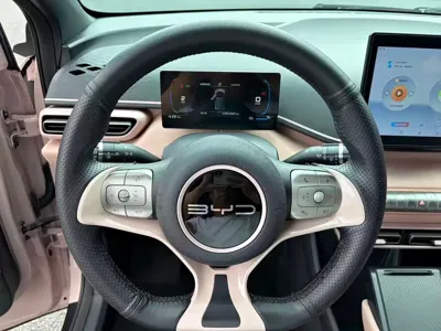 BYD Seagull
