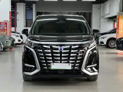 Denza Denza D9