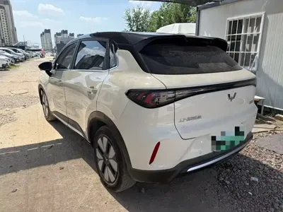 Wuling 缤果S