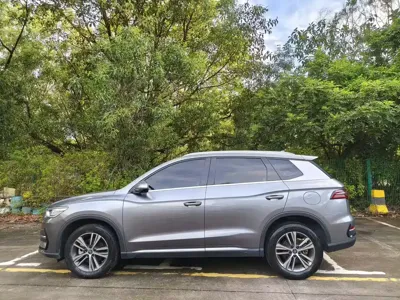 BYD Pro New Energy