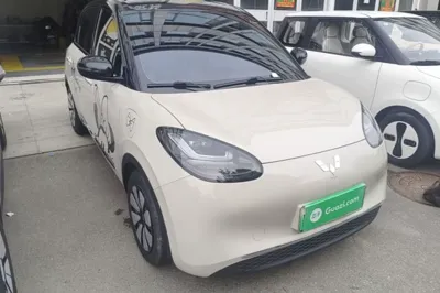 Wuling Bingo