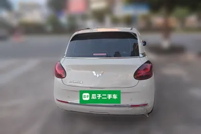 Wuling Bingo