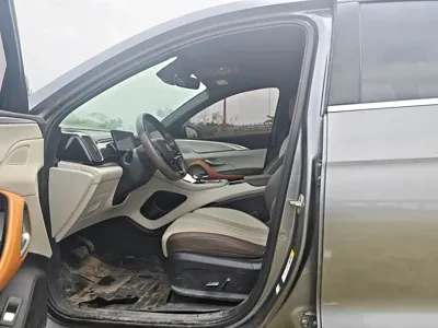 BYD Pro New Energy
