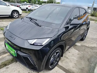 BYD Seagull