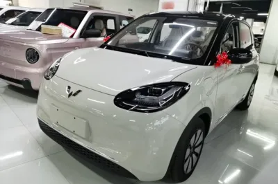 Wuling Bingo