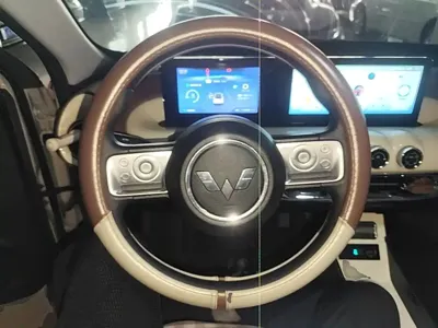Wuling Bingo
