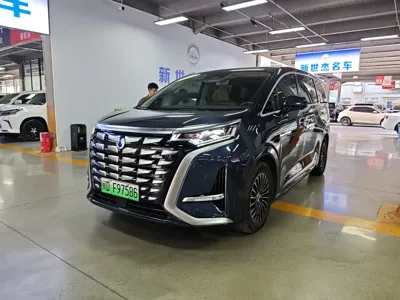 Denza Denza D9