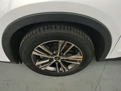 BYD Pro