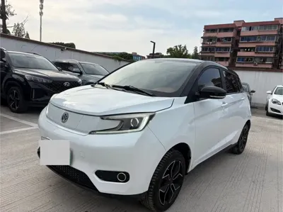Dongfeng EV YOUNG Guang Xiaoxin