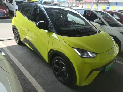 BYD Seagull
