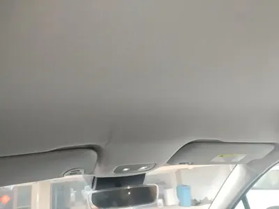 NETA Neta V
