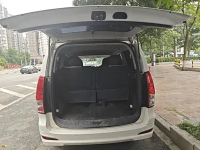 Fengxing Lingzhi PLUS