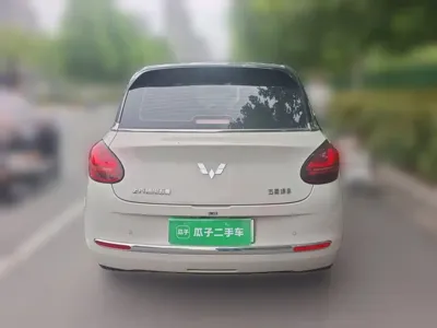 Wuling Bingo