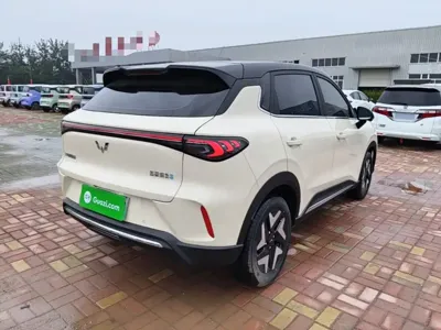 Wuling Bingo S