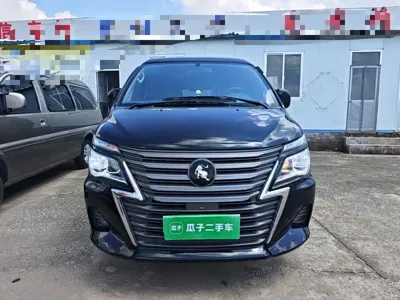 Fengxing Lingzhi
